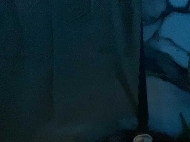 Asiankitties live cam on BongaCams