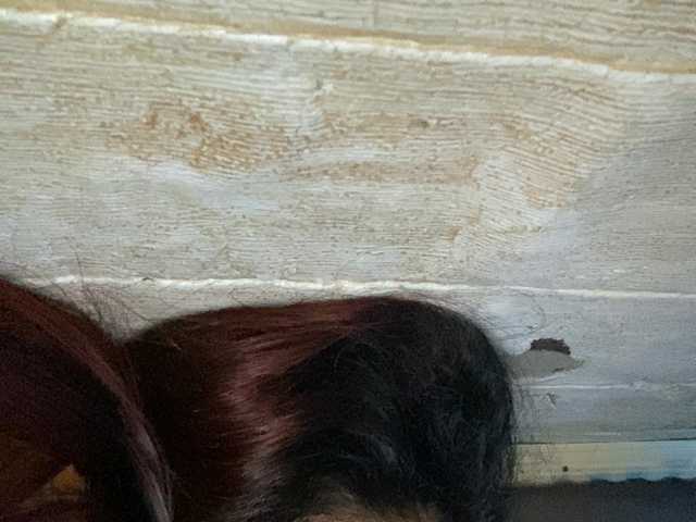 Asiankitties