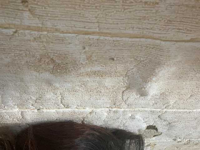 Rainie