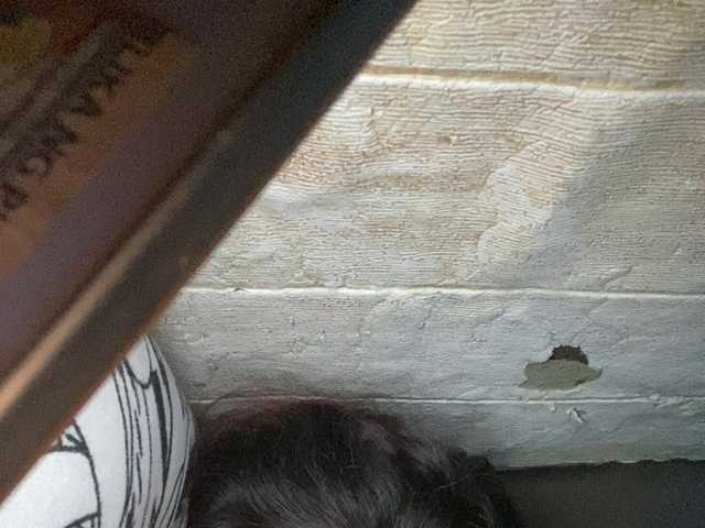 Rainie