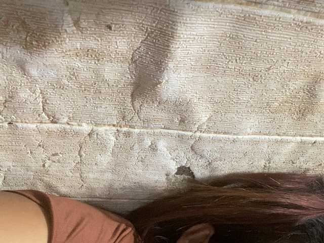 Rainie