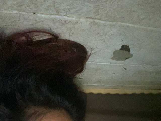 Rainie