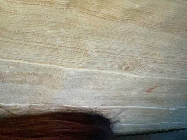 Asiankitties live cam