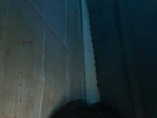 Rainie