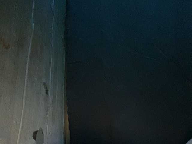 Asiankitties live cam