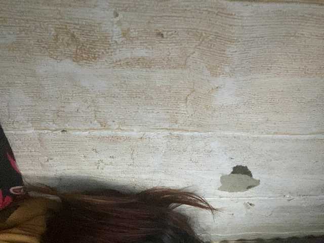 Rainie