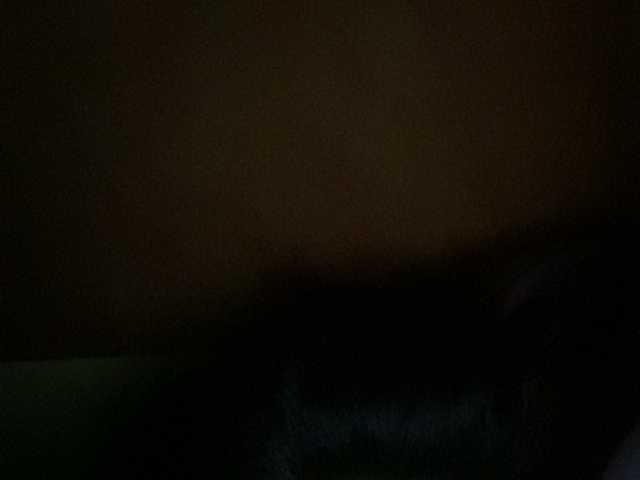 Asiankitties live cam on BongaCams