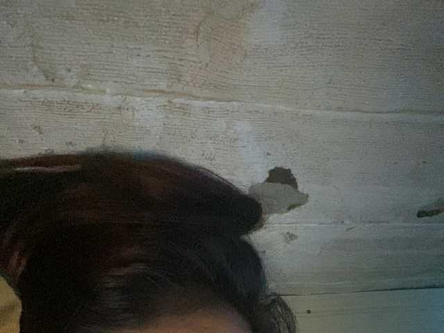 Rainie