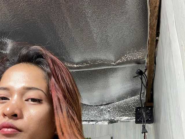 Asiankitties live cam on BongaCams