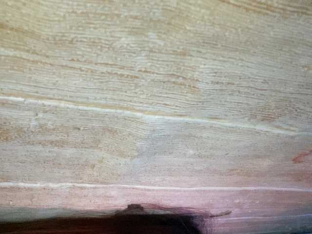 Asiankitties live cam