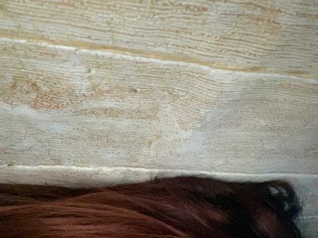 Rainie