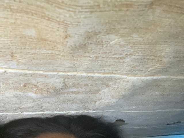 Rainie