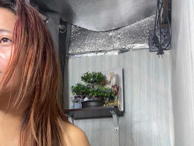 Asiankitties live cam on BongaCams