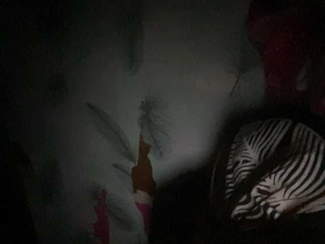 Asiankitties live cam on BongaCams