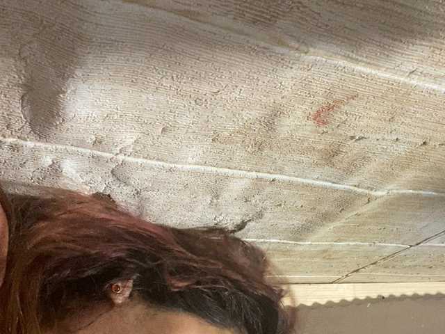 Rainie