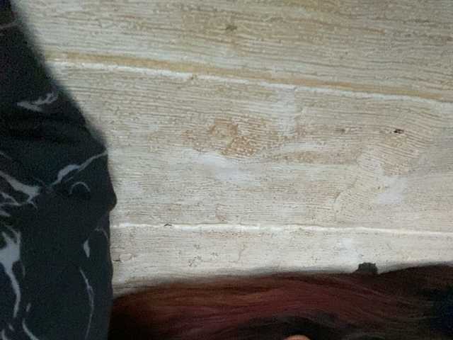 Rainie