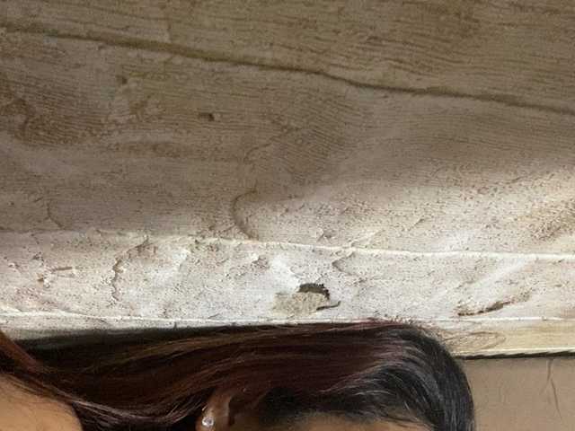 Rainie