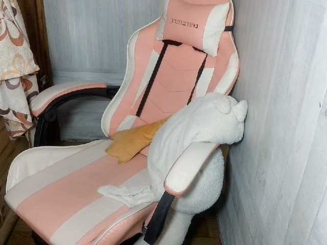 Asiankitties live webcam show