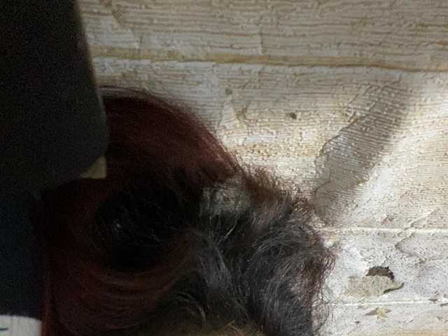 Rainie live cam preview