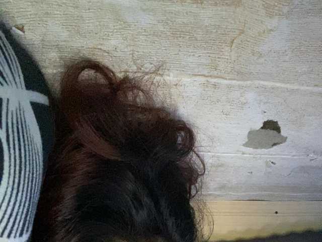 Rainie