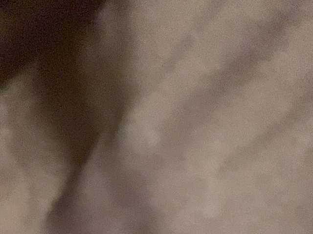 Asiankitties live cam on BongaCams