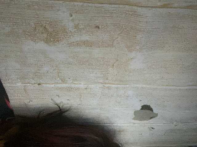 Rainie