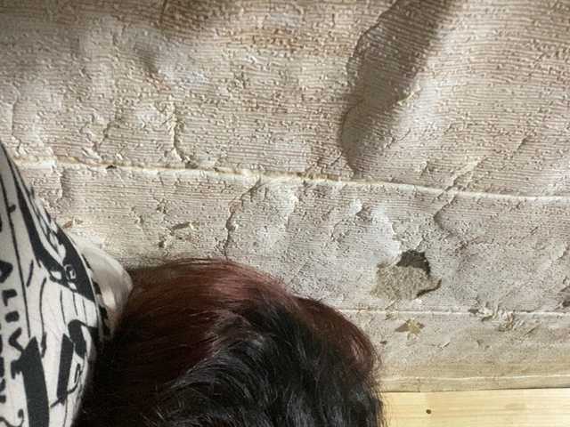 Rainie