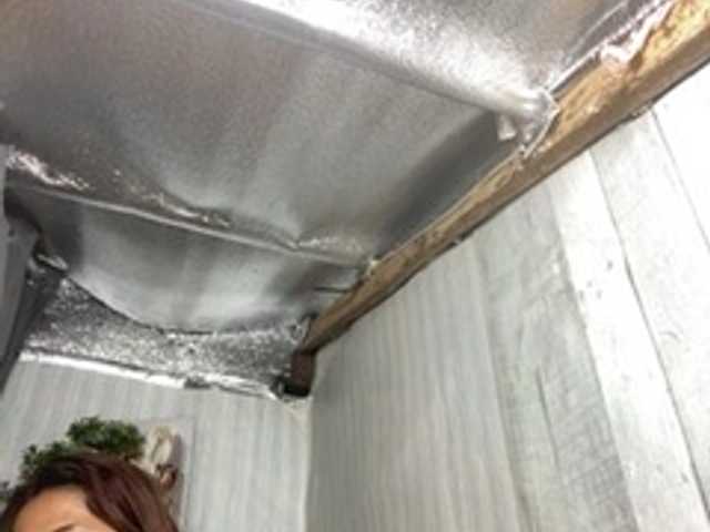 Rainie