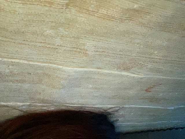 Asiankitties live cam