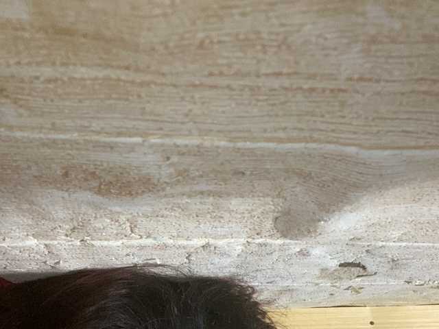 Asiankitties