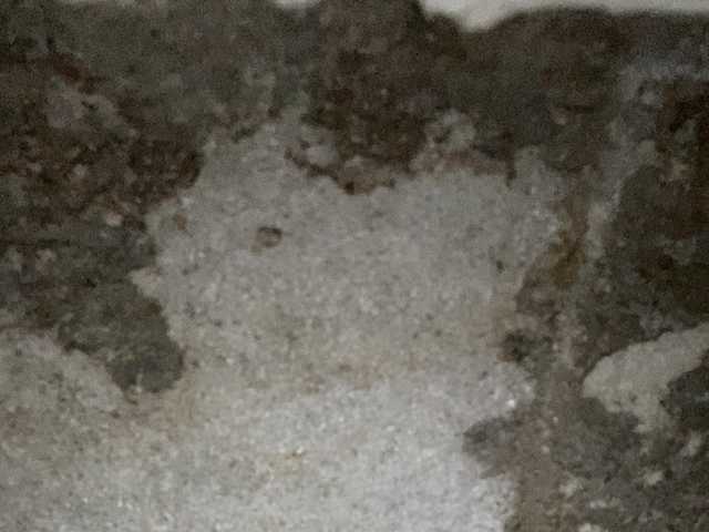 Rainie live cam preview