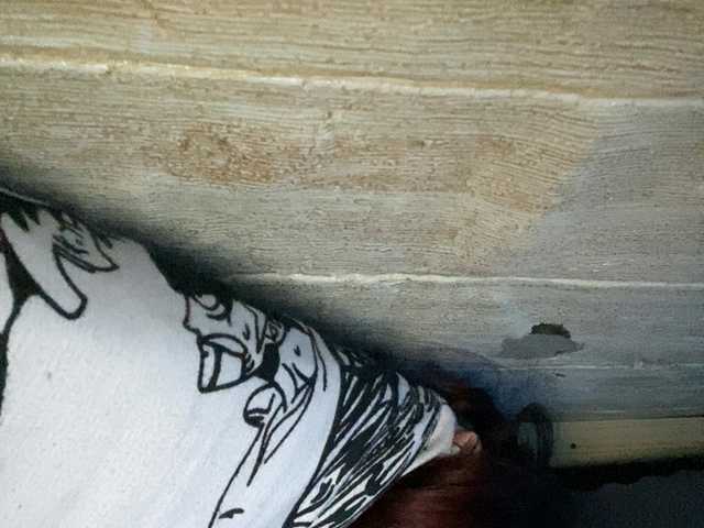 Asiankitties live cam
