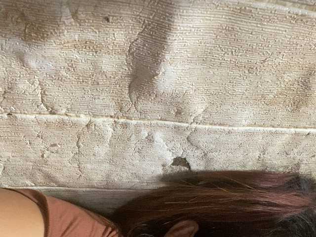 Rainie
