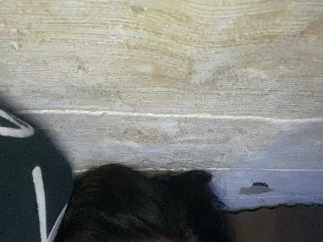Rainie