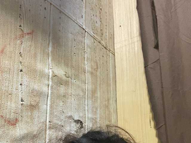 Asiankitties