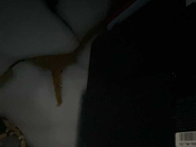 Asiankitties live cam on BongaCams