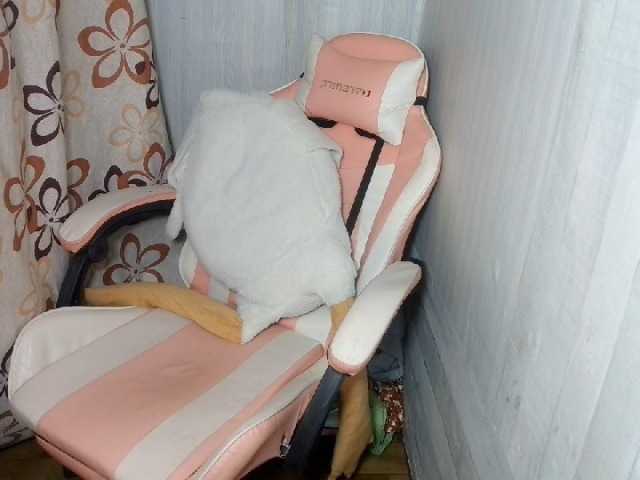 Asiankitties live cam on BongaCams