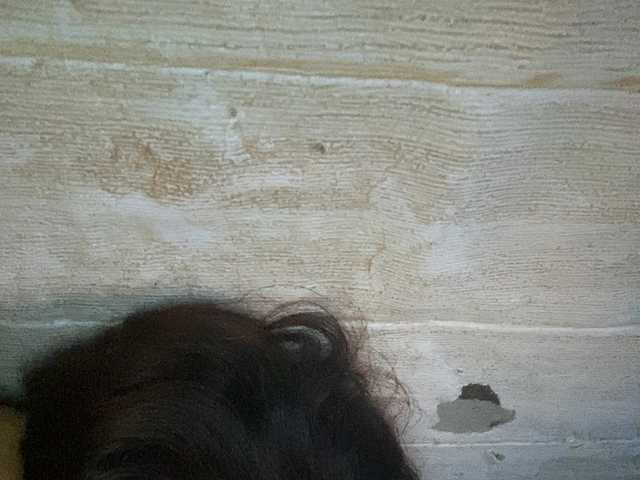 Rainie