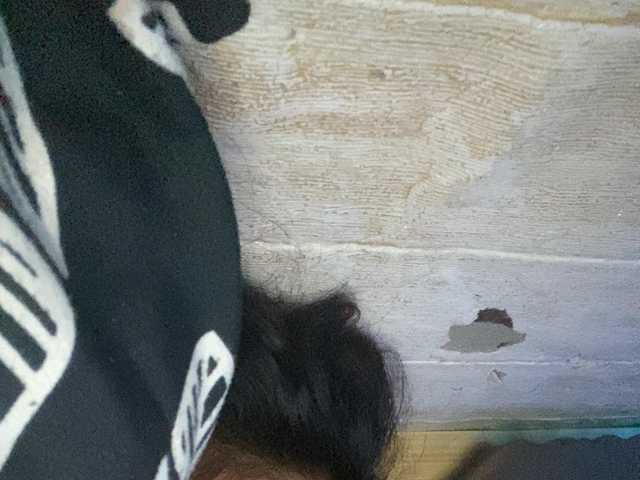 Rainie