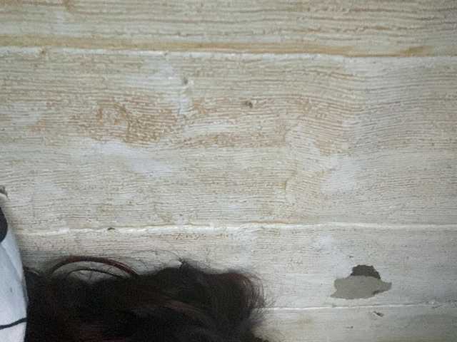 Rainie