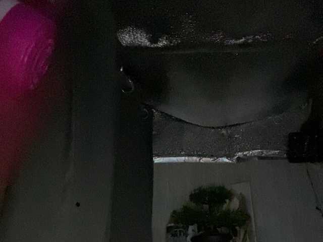 Rainie