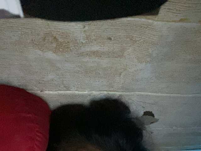 Rainie