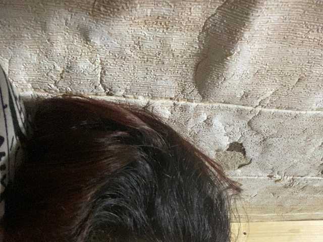 Rainie
