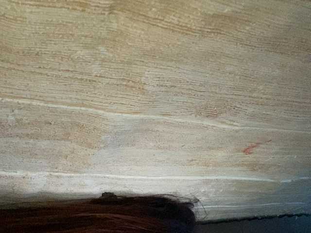Asiankitties live cam