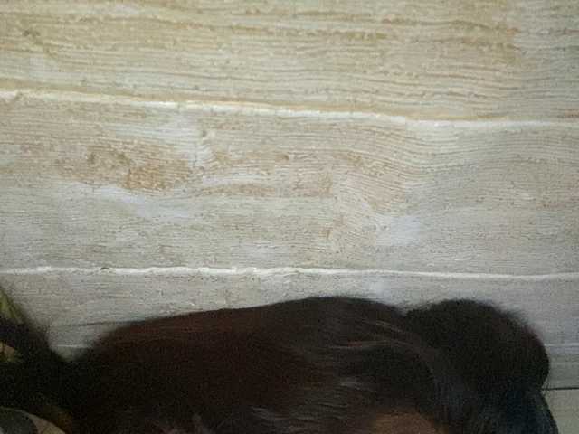 Rainie