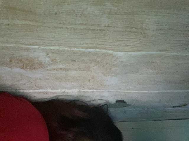 Rainie