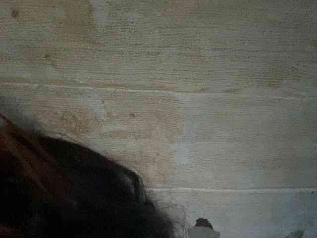 Rainie webcam