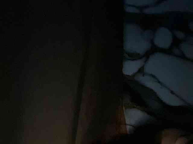 Rainie webcam
