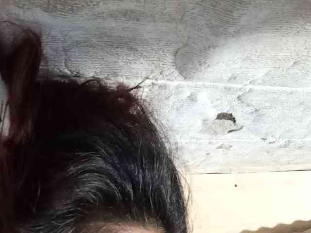 Rainie webcam