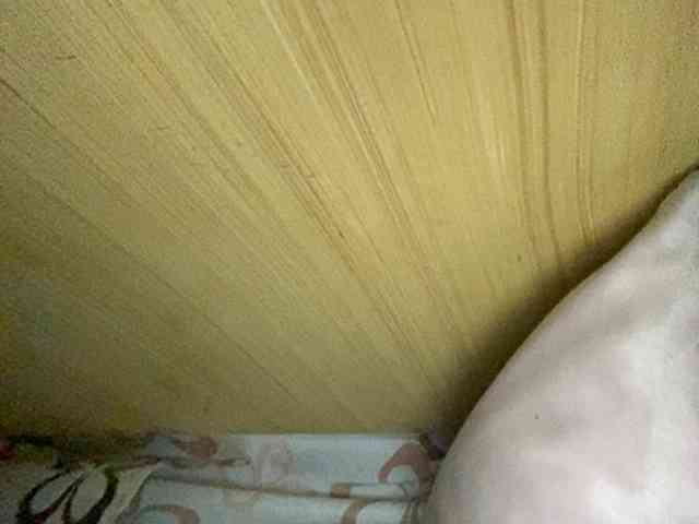 Rainie webcam
